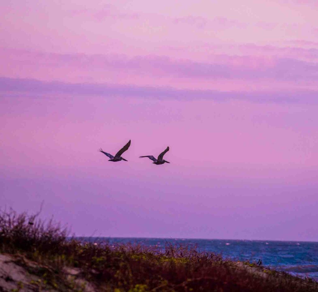 Global Kite trips - Kite safari Colombia  Salinas del rey