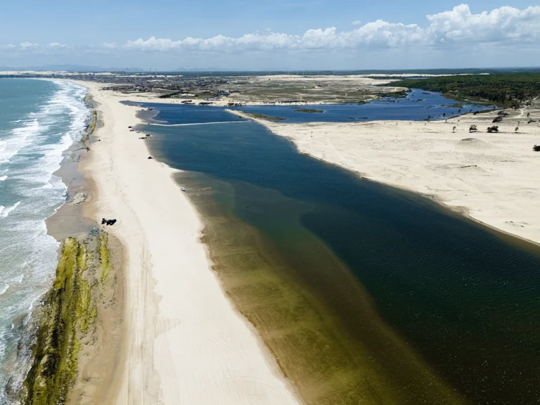 DJI_20260216120500_0202_D copy